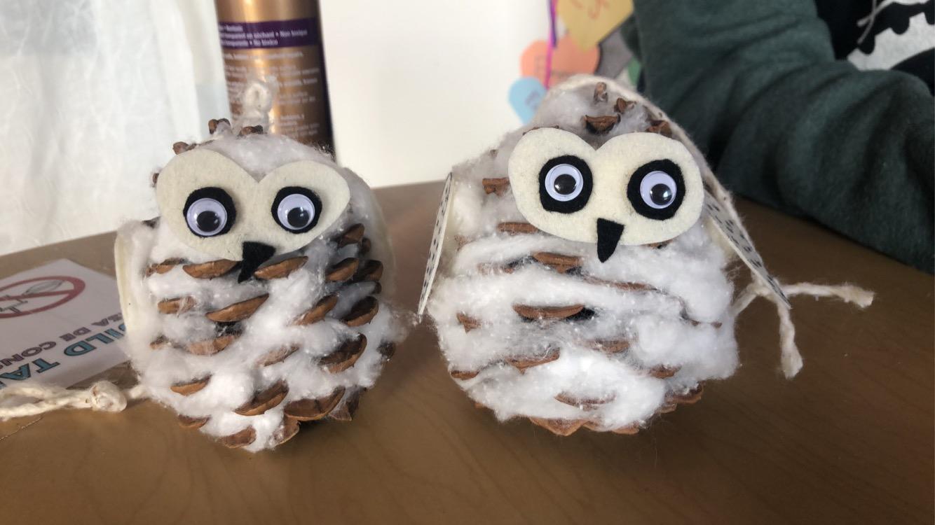 Pinecone Owls from our May Quick Crafts Kit